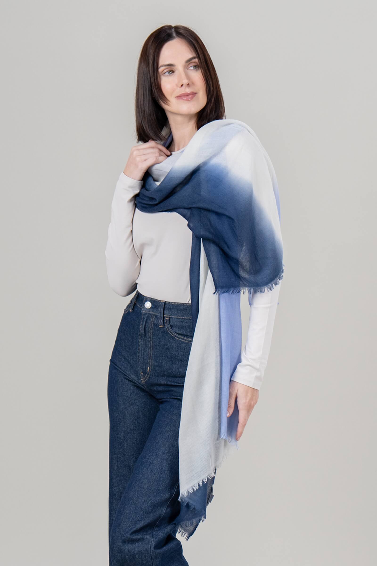 Alpine Cashmere Ombre Scarf in Bayberry and Navy