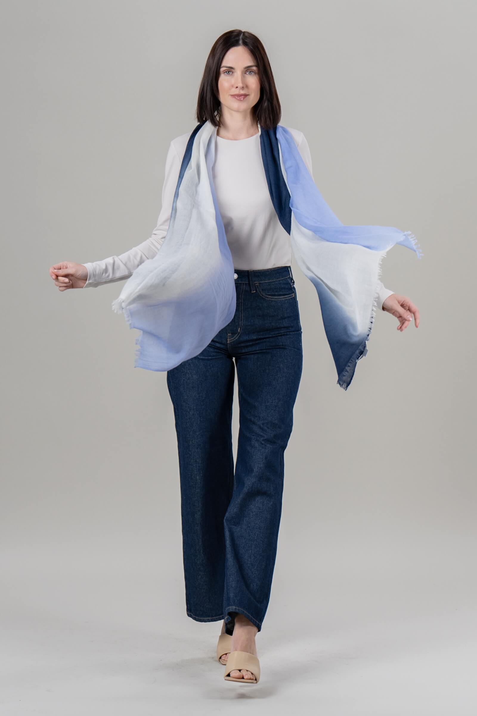 Alpine Cashmere Ombre Scarf in Bayberry and Navy