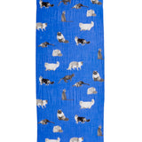 Cat's Meow Scarf - Black