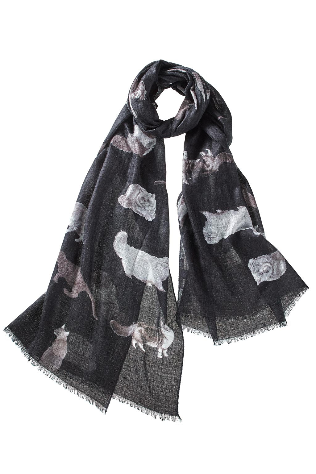 Alpine Cashmere's Featherweight Cashmere Cat Scarf in black