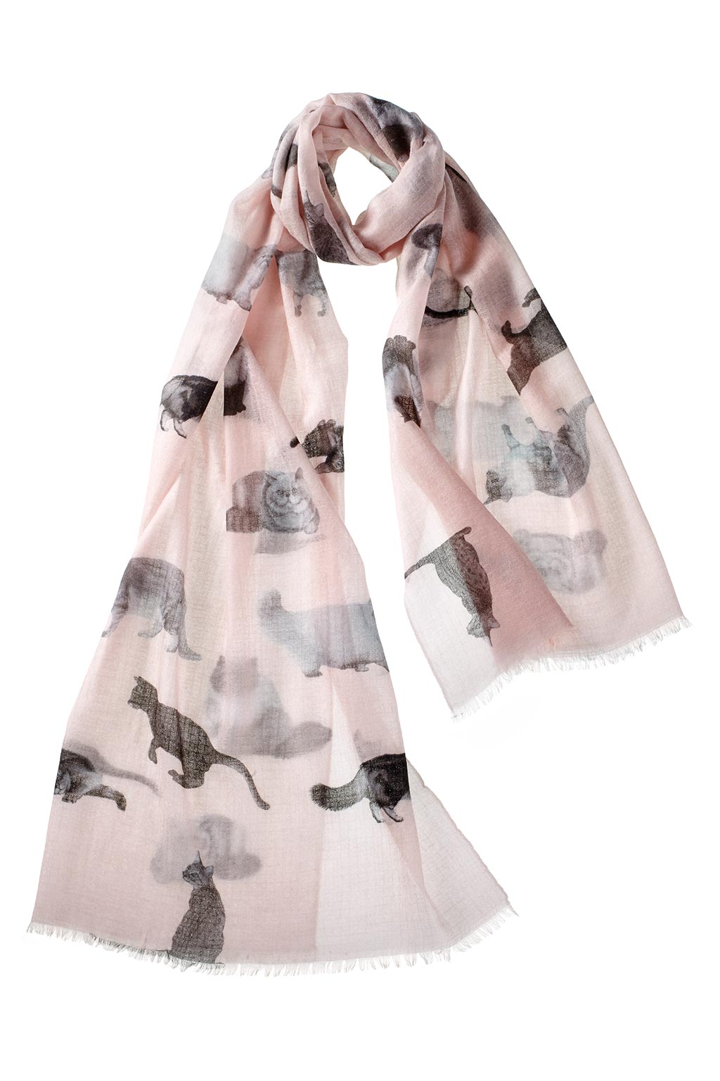 Alpine Cashmere's Featherweight Cashmere Cat Scarf in blush pink