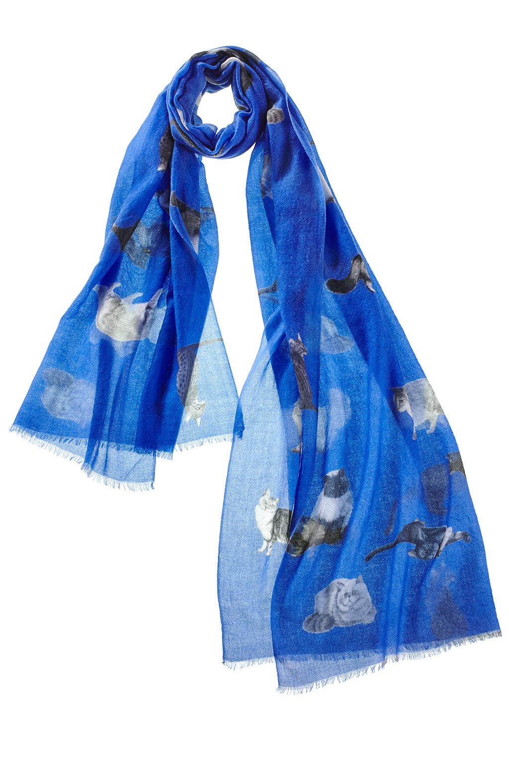 Alpine Cashmere's Featherweight Cashmere Cat Scarf in lapis blue